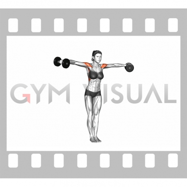 Dumbbell Standing Bent Arm Lateral raise (female)