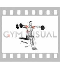 Dumbbell Seated Bent Arm Lateral raise