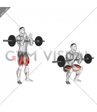 Barbell full Zercher Squat