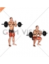 Barbell full Zercher Squat