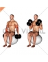 Dumbbell Two Arm Seated Hammer Curl on Exercise Ball
