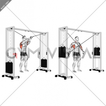 Cable Lat Pulldown Full Range Of Motion