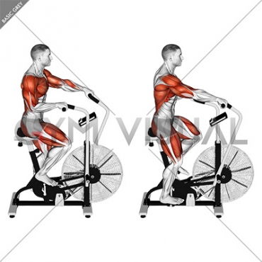 Cycle Cross Trainer