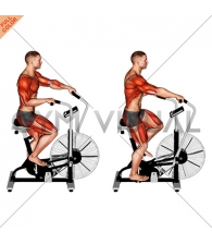 Cycle Cross Trainer