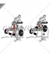 Lever Kneeling Leg Curl (plate loaded)