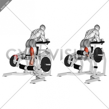 Lever Kneeling Leg Curl (plate loaded)