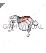 Exercise Ball Back Stretch
