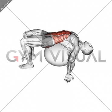 Exercise Ball Back Stretch