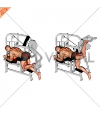 Lever Hip Extension (VERSION 2)