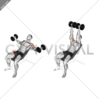 Dumbbell Incline Twisted Flyes - Gym visual