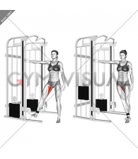 Cable Hip Adduction (female)