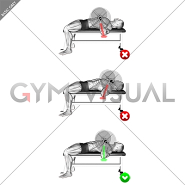 Chest Bench Press - Forearms (WRONG-RIGHT)