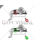 Chest Bench Press - Butt (WRONG-RIGHT)