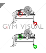 Chest Bench Press - Butt (WRONG-RIGHT)