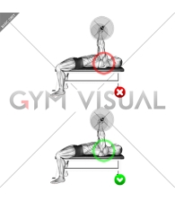 Chest Bench Press - Shoulders (WRONG-RIGHT)