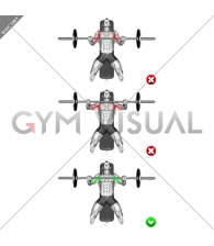 Chest Bench Press - Elbows (WRONG-RIGHT)