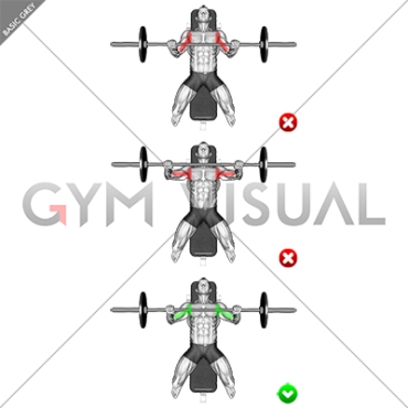 Chest Bench Press - Elbows (WRONG-RIGHT)