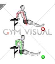 Bench Dip - Back Arms (WRONG-RIGHT)