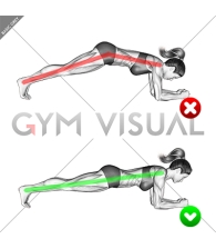 Front Plank - Butt (WRONG-RIGHT)