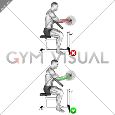 Preacher Curl - Wrists (WRONG-RIGHT)