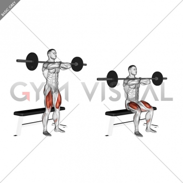 Barbell Bench Front Squat