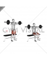 Barbell Bench Front Squat