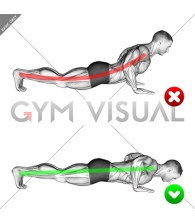 Push-up - End position (WRONG-RIGHT)