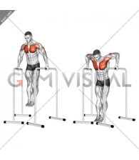 Wide-Grip Chest Dip on High Parallel Bars