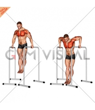 Wide-Grip Chest Dip on High Parallel Bars