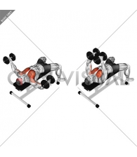 Dumbbell Fly