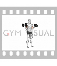 Dumbbell Standing Inner Biceps Curl (version 2)