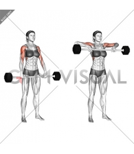 Barbell Shoulder Grip Upright Row (female)