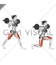 Barbell Split Squat (female)