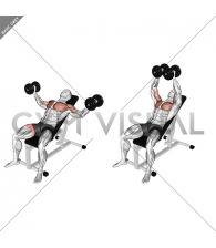 Dumbbell Incline Fly