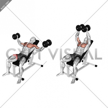 Dumbbell Incline Fly