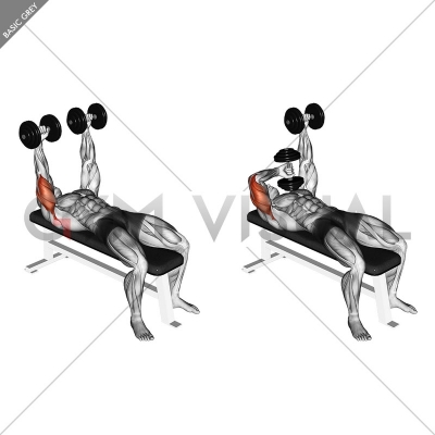 Dumbbell Lying Extension (across face) - Gym visual