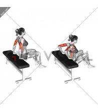 Bench Dip (knees bent) (female)