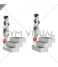 Standing Calf Raise (On a staircase) (female)