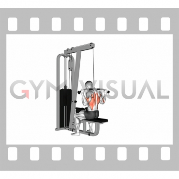 Cable Rear Pulldown