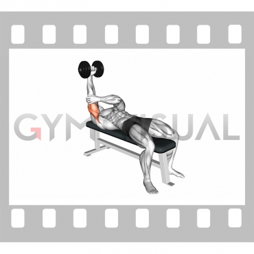 Dumbbell Lying One Arm Pronated Triceps Extension