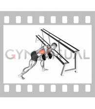 Dumbbell One Arm Row (rack support)