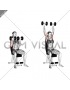 Dumbbell Arnold Press (female)