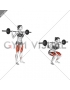 Barbell Narrow Stance Squat (female)