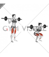 Barbell Narrow Stance Squat (female)