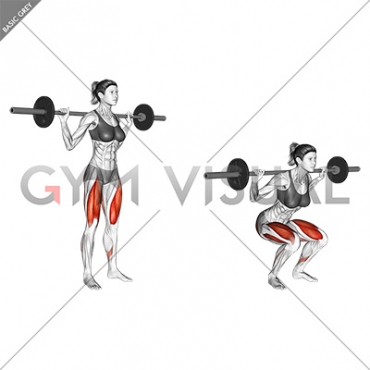 Barbell Narrow Stance Squat (female)