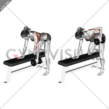 Dumbbell One Arm Bent over Row (female)