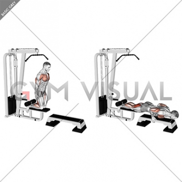 Inverse Leg Curl (on pull-up cable machine)