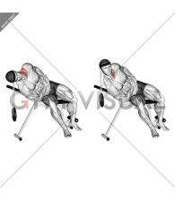 Weighted Lying Side Lifting Head with head harness