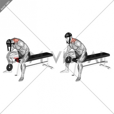 Weighted Seated Neck Extension with head harness