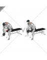 Weighted Seated Neck Extension (with head harness)